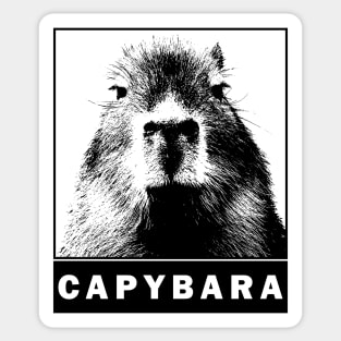 Capybara's Silhouette Sticker